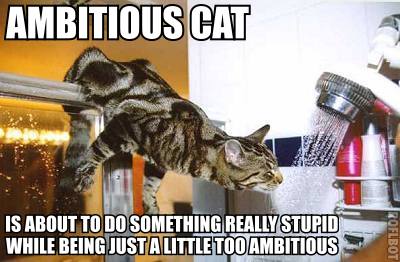[a cat macro pic expressing my belief that I'm about to out-ambition myself]